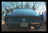 Ford Mustang 67 Fastback Bullitt-1